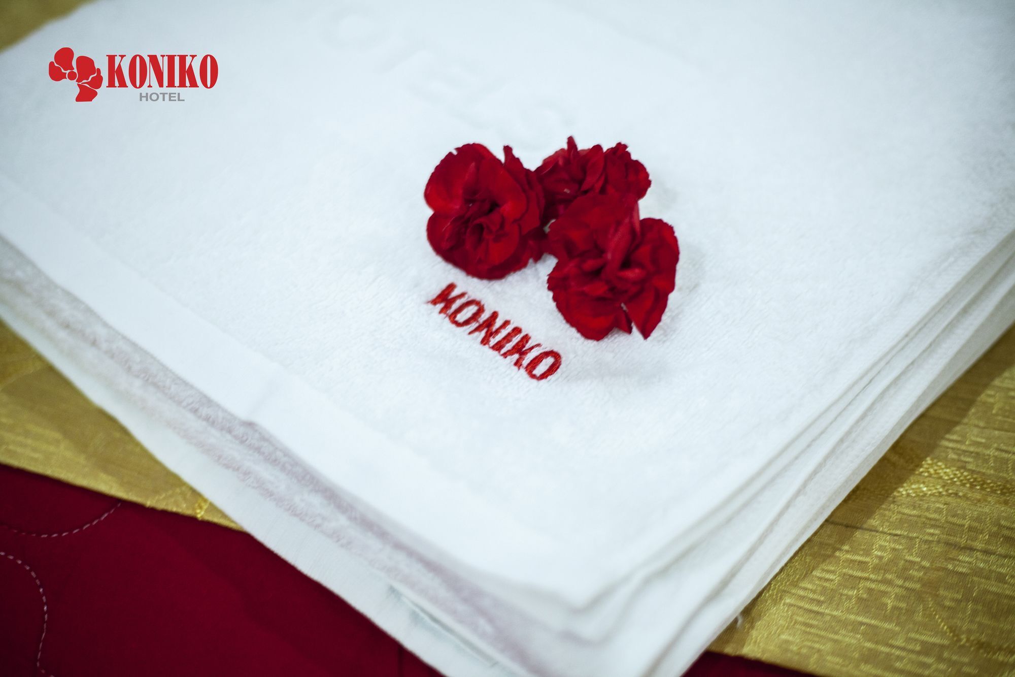 Hotel Koniko *