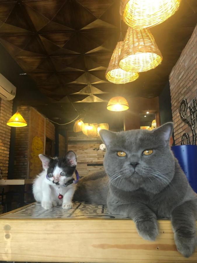 Coco * TP. Hồ Chí Minh